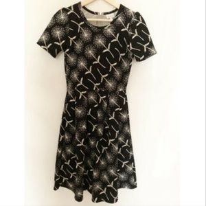 Lularoe Amelia Dress Black and White Dandelion